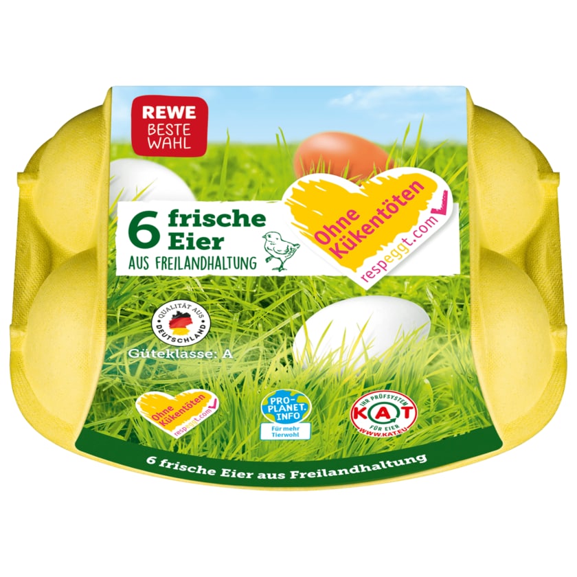 REWE Beste Wahl Eier Freilandhaltung 6 Stück